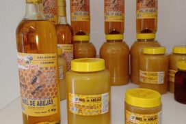 10-miel