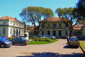 11-agronomia