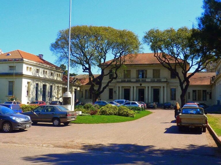 11-agronomia