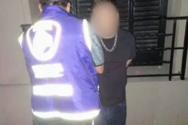 18-viudo negro