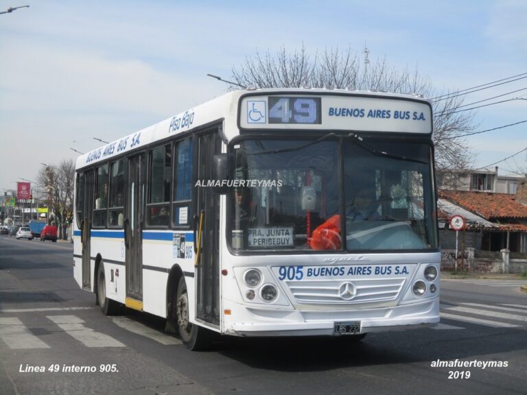 08-colectivo49
