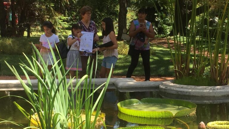 20-botanico