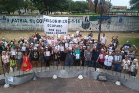 29-frigorifico