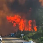 Informe de la Facultad de Agronomía UBA sobre los incendios en El Bolsón