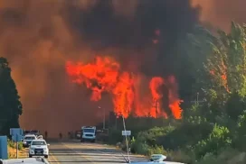 12-incendios el bolson