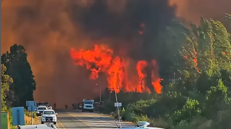 12-incendios el bolson