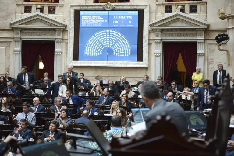 13-diputados
