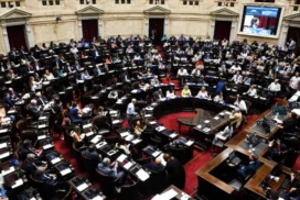 19-camara diputados