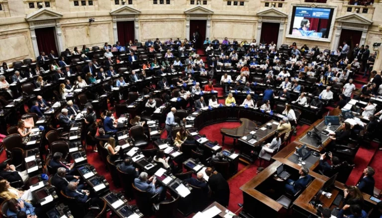 19-camara diputados