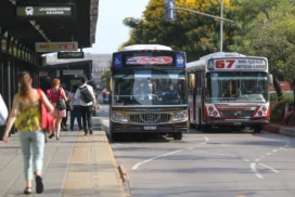 27-colectivos