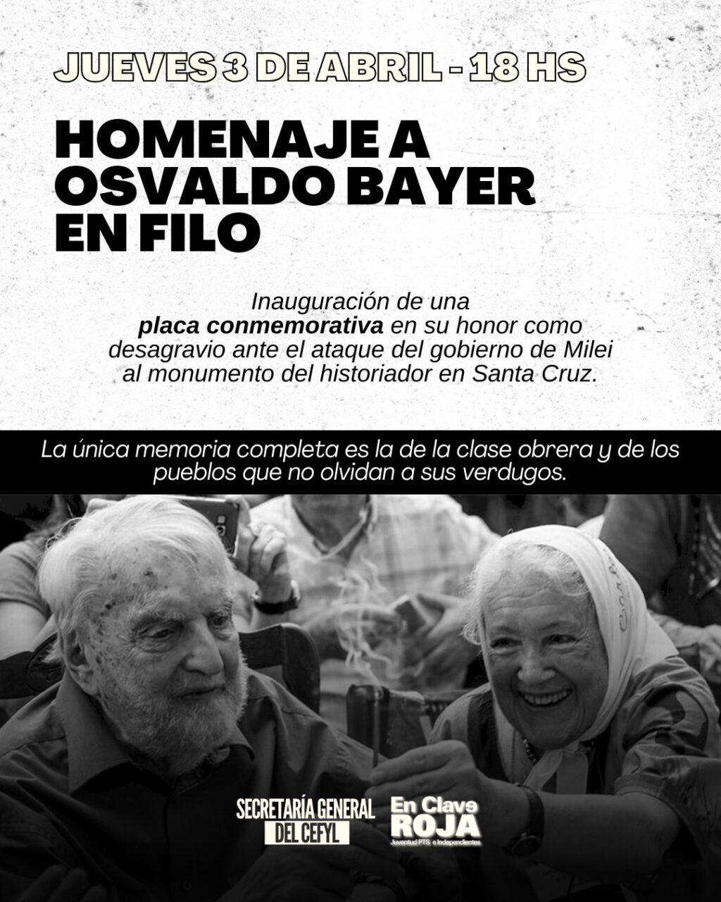 31-bayer