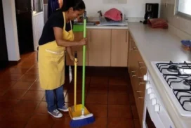 27-empleada domestica2
