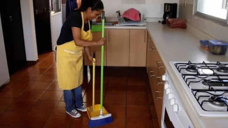 27-empleada domestica2