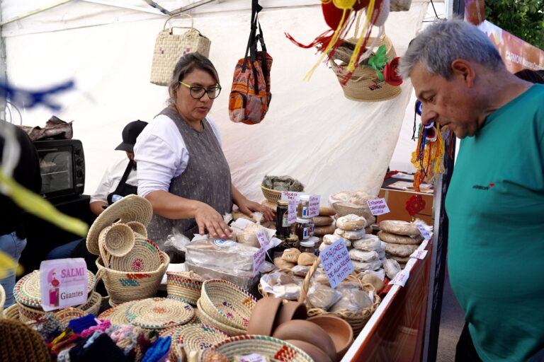 30-feria de las regiones