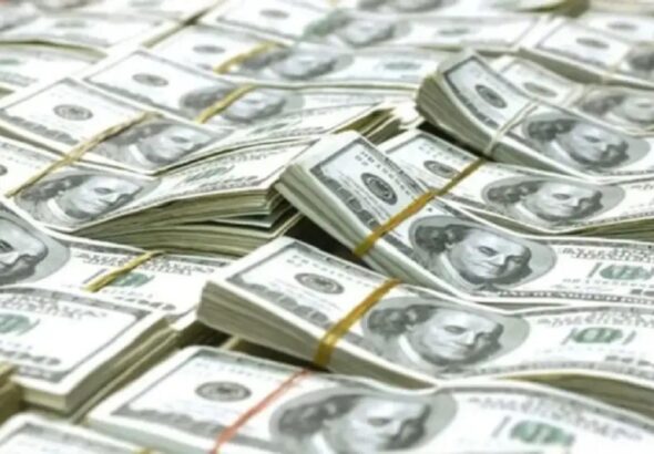 19-dolares