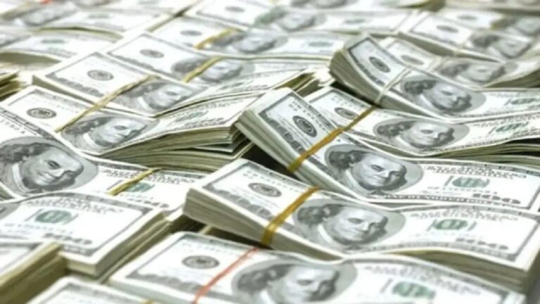 19-dolares