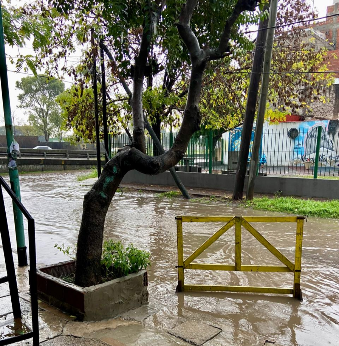 Screenshot_20250517-073226