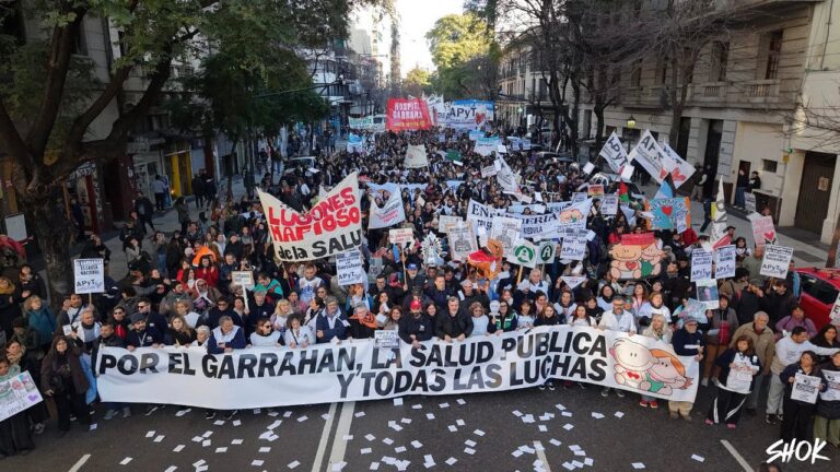 17-marcha garrahan