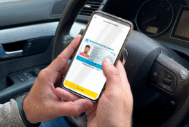 23-licencia virtual