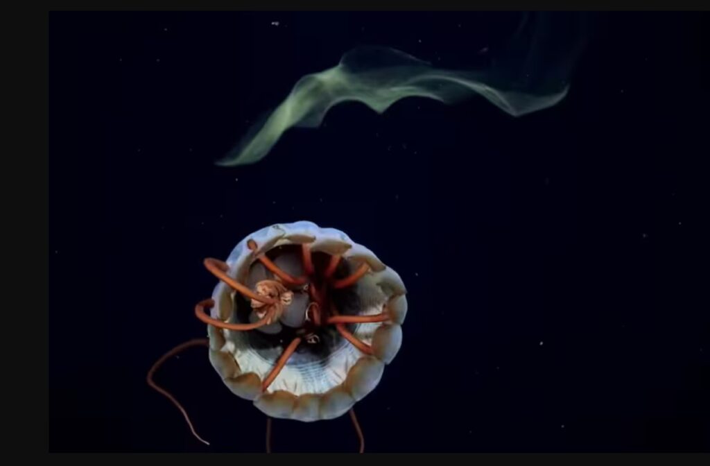 11-expedicion conicet