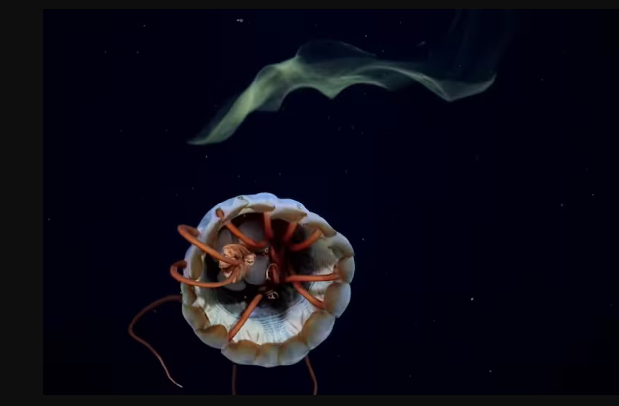 11-expedicion conicet