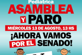 13-paro garrahan