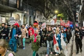 13-ruidazo