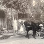 Imagen de WhatsApp 2025-09-20 a las 14.33.47_195bdf24