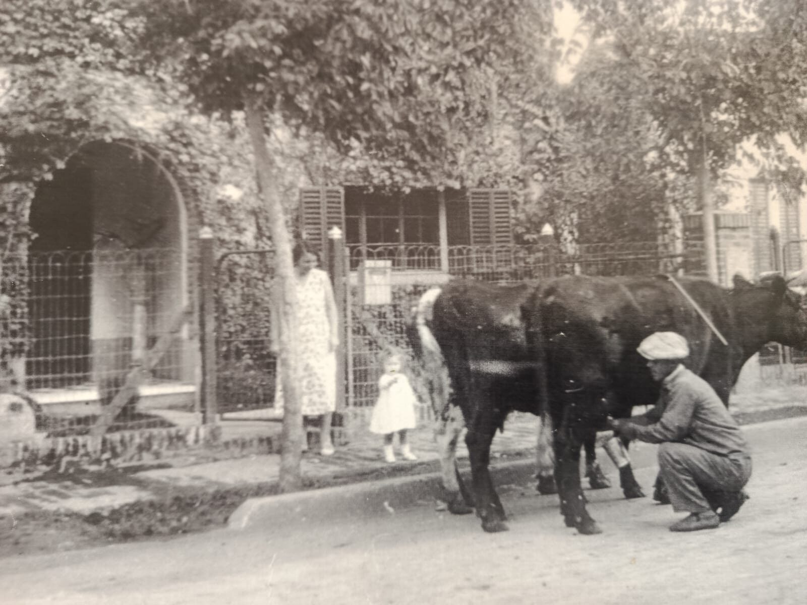 Imagen de WhatsApp 2025-09-20 a las 14.33.47_195bdf24