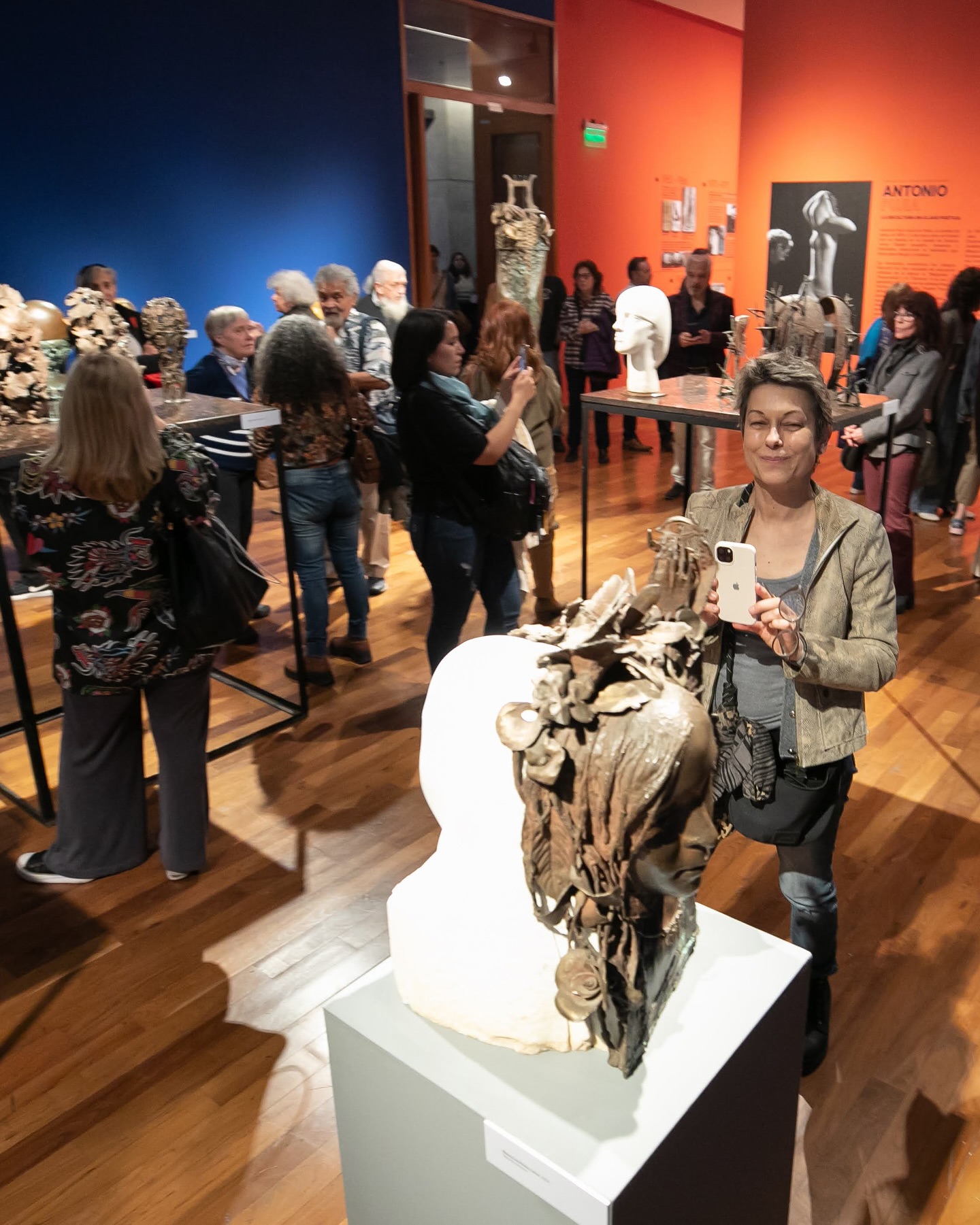 antonio pujia muestra