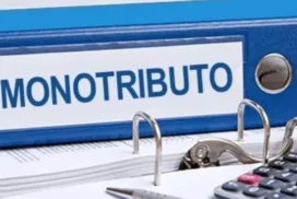 17-monotributo