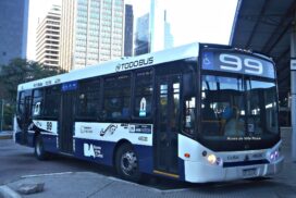 30-linea 99