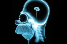 cerebro-de-homer-simpson