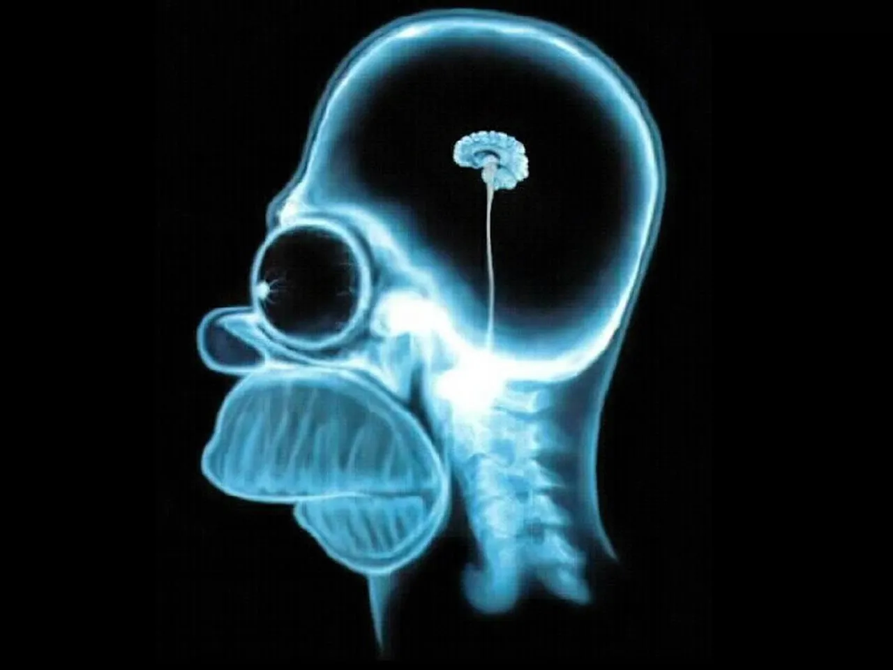 cerebro-de-homer-simpson