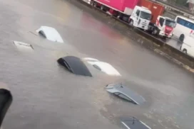 23-temporal panamericana