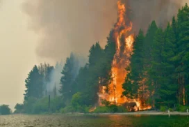 incendios sur
