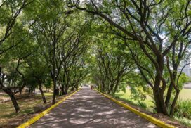 reserva ecologica
