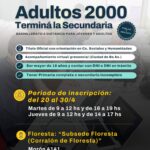 adultos 2000
