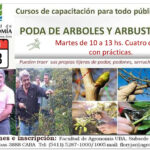 curso poda