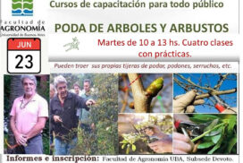curso poda