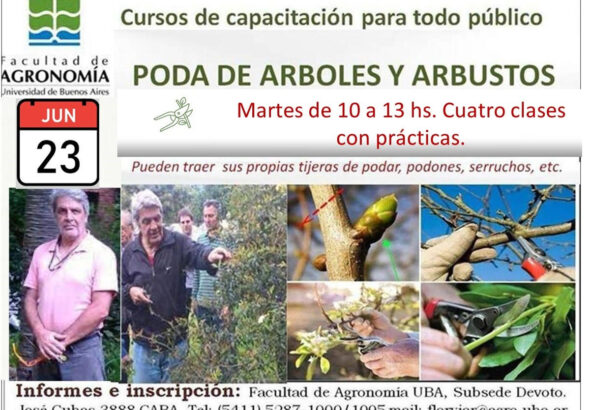 curso poda