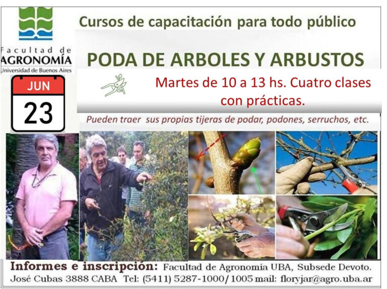 curso poda