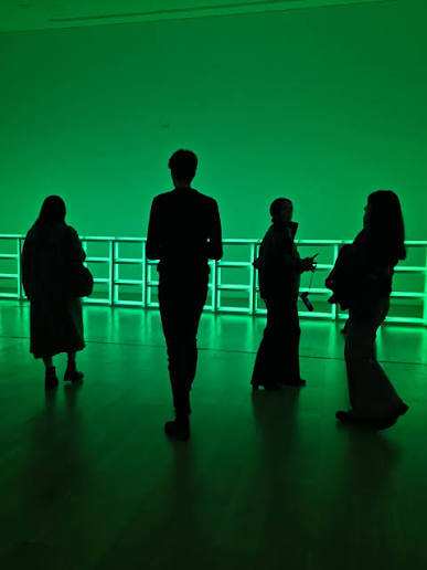 dan flavin