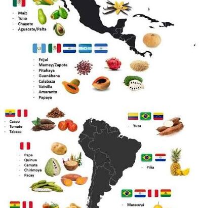 productos de america