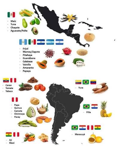 productos de america