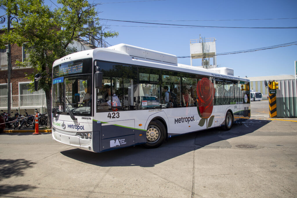 colectivo