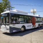 colectivo