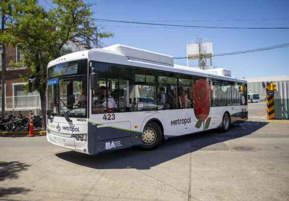 colectivo