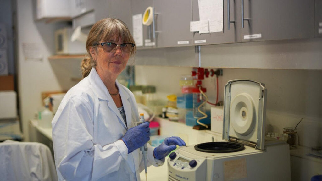 laboratorio