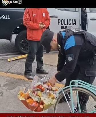 vendedor